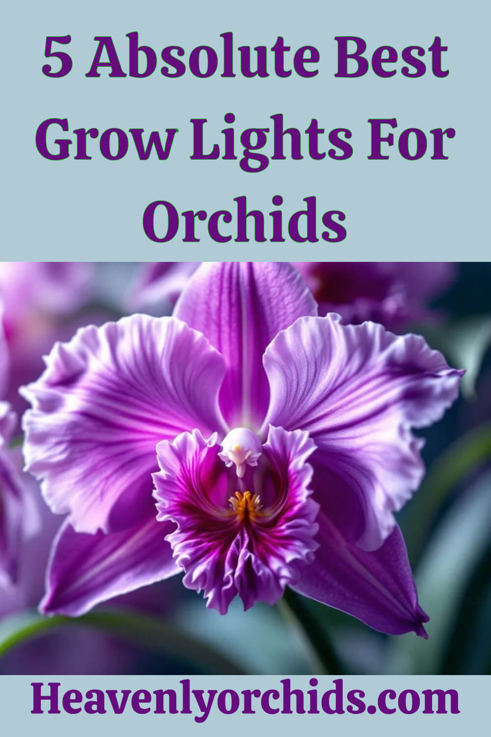 Best Grow Lights For Orchids pin