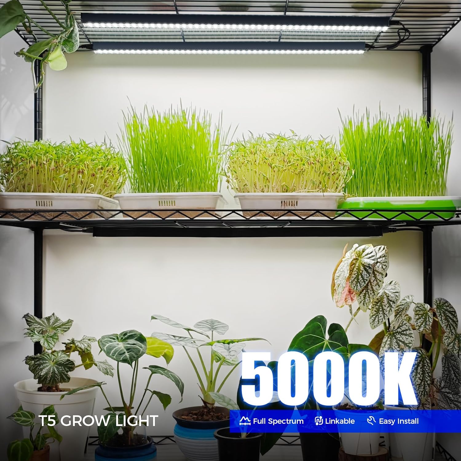 Barrina T5 LED Grow Strip Barrina T5 LED Grow Strip