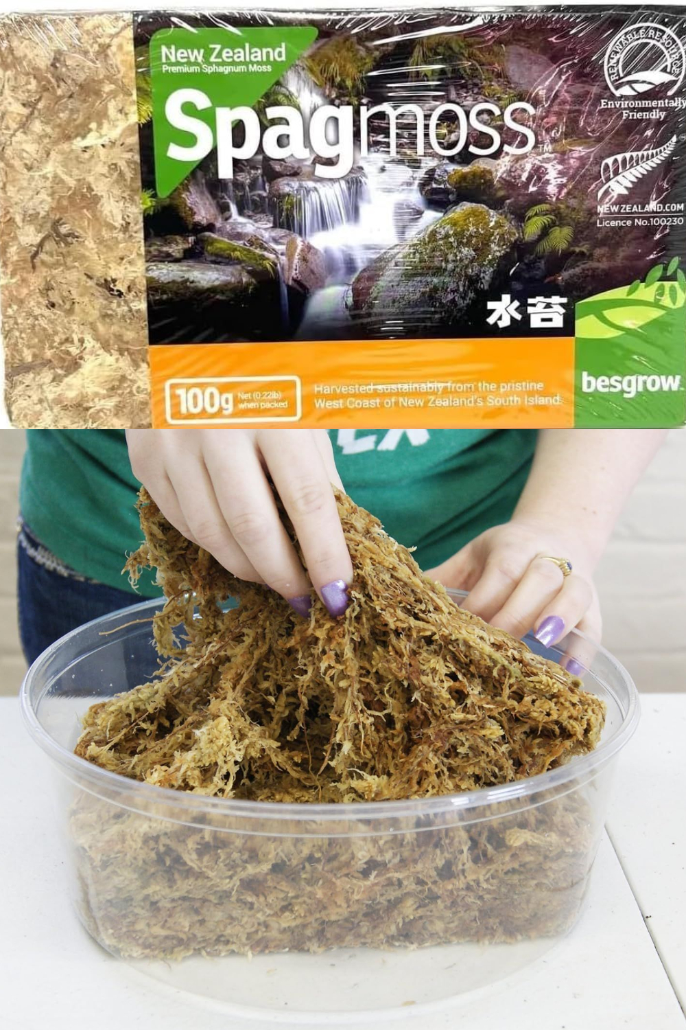 Besgrow Premium Moss