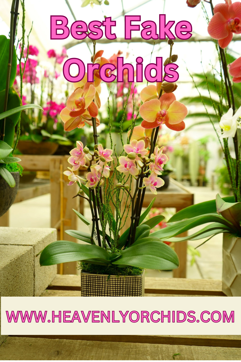 5 Best Fake Orchid Plants, A Guide to The Best Artificial Orchids