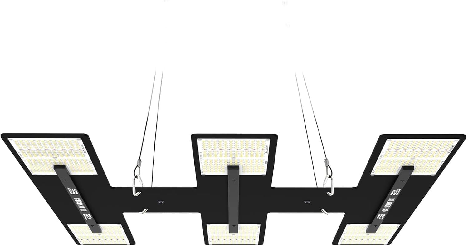 HLG Blackbird LED Excellence For Orchids HLG Blackbird LED Excellence For Orchids