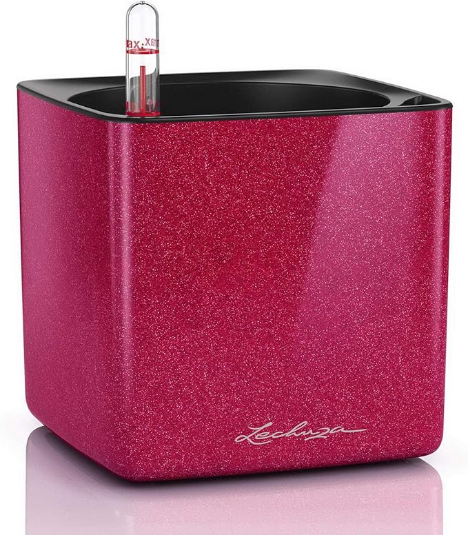 Lechuza Cherry Self Watering Pot