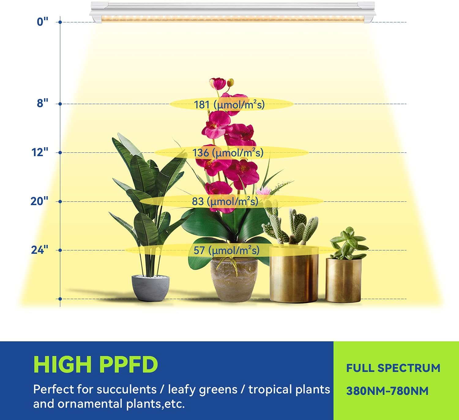 Monios T8 LED Grow Light Monios T8 LED Grow Light