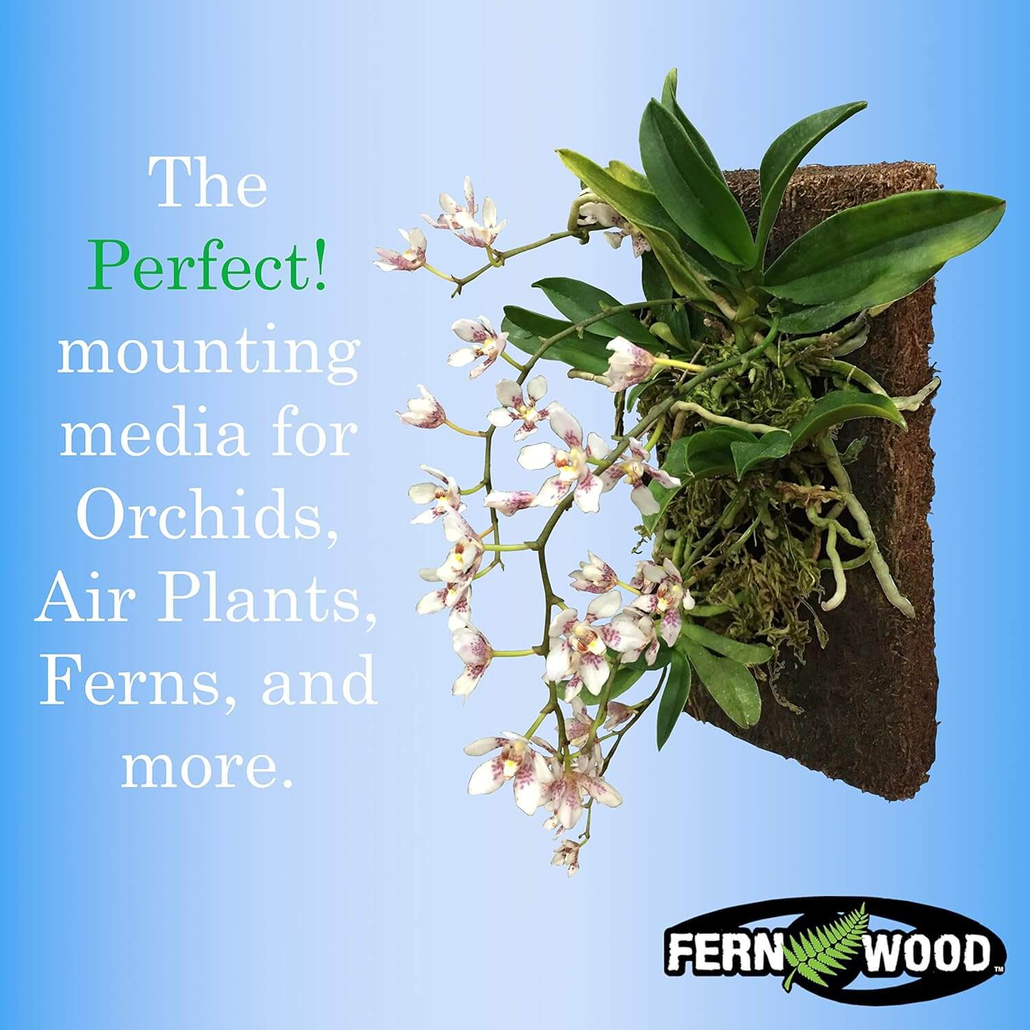 Orchid Mounting Board