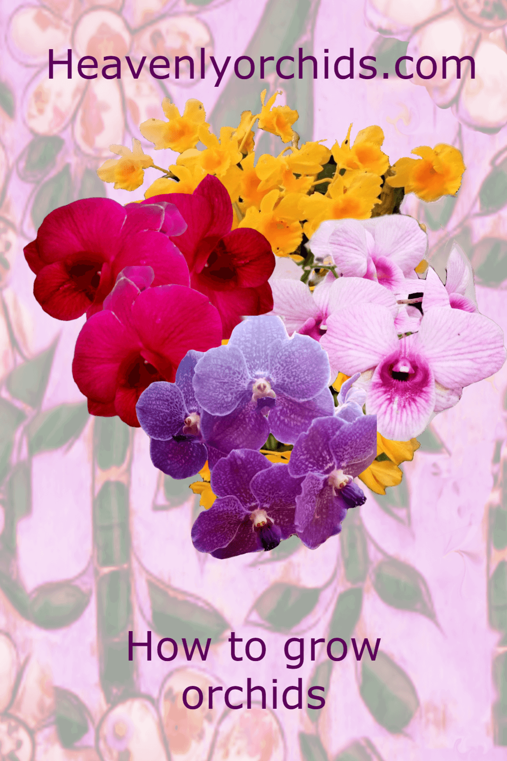 Bouquet of multi colored orchid flowers