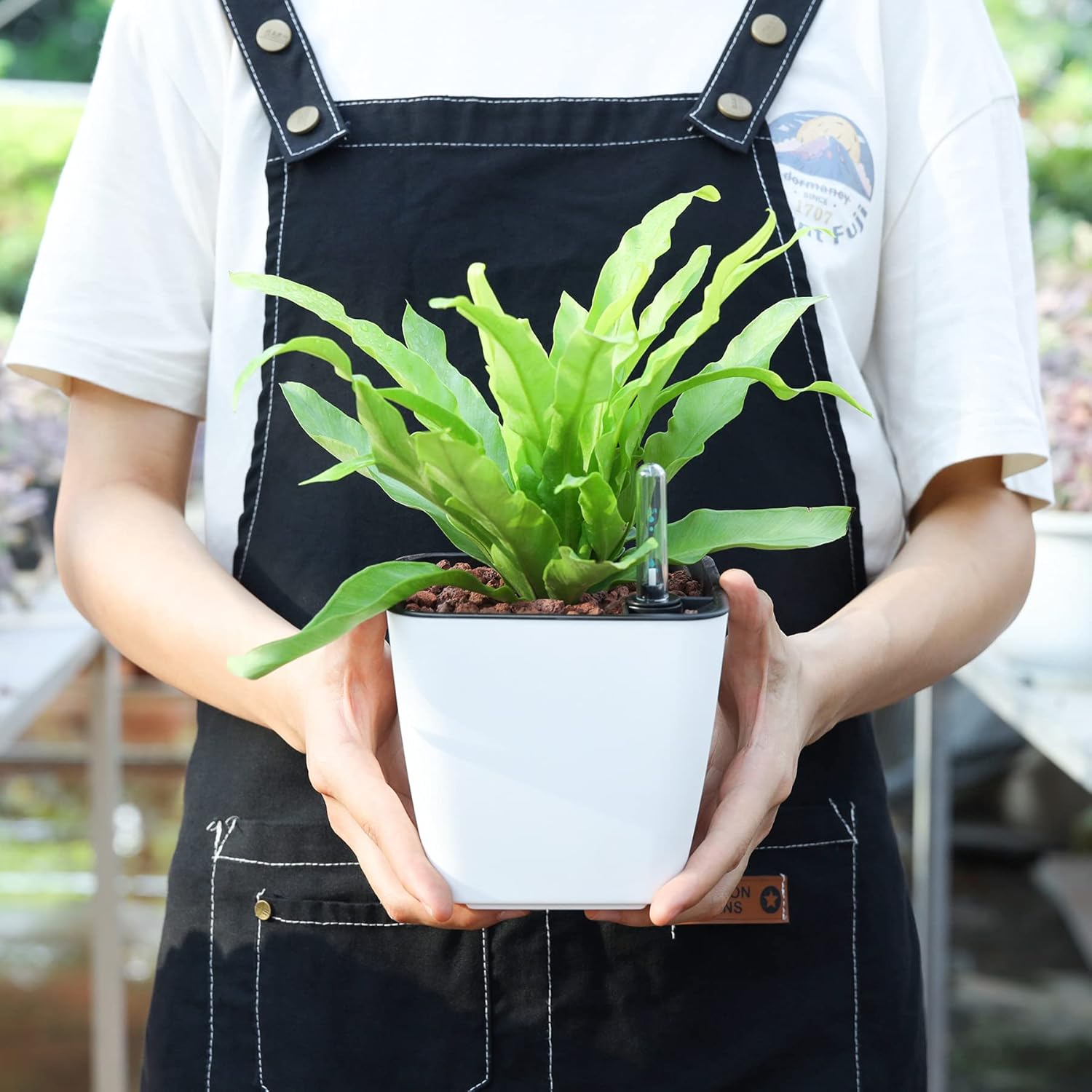 Self Watering T4u Pots Self Watering T4u Pots