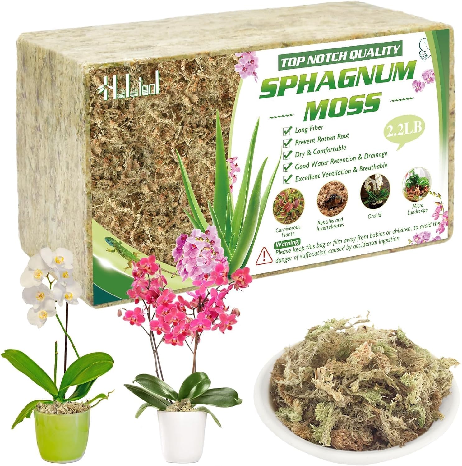 Sphagnum Moss For Orchids