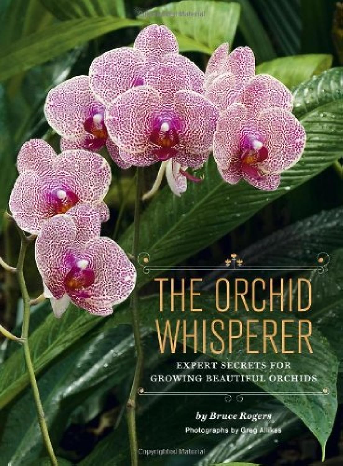 The Orchid Whisperer The Orchid Whisperer