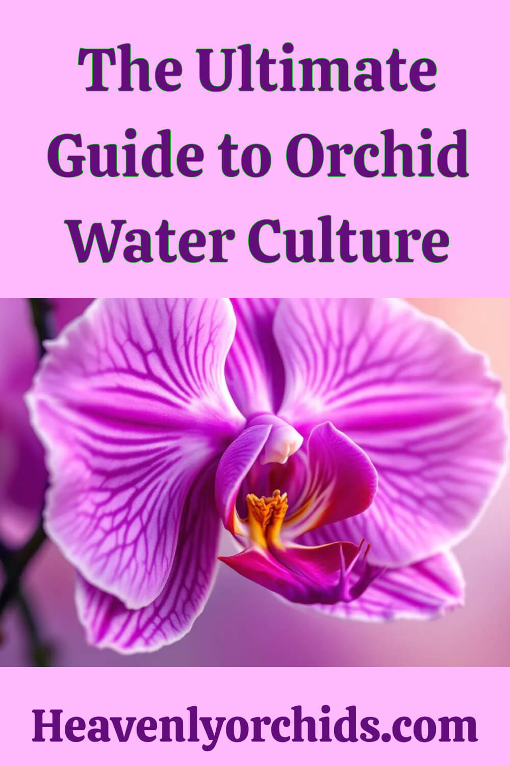 Guide to Water Culture pin