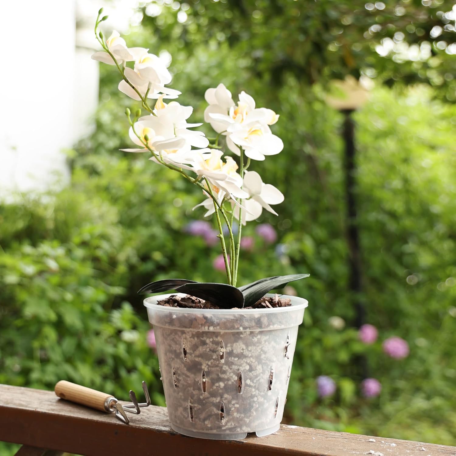 Yikush Clear Pot for Orchids Yikush Clear Pot for Orchids