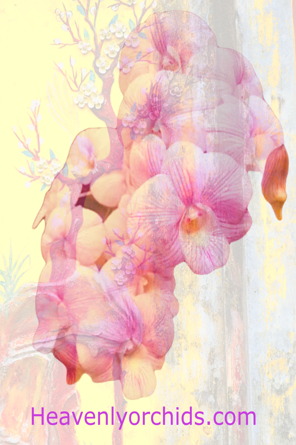 Photography art combining pink orchid flowers with ancient artwork from the forbidden city, Hue, Vietnam