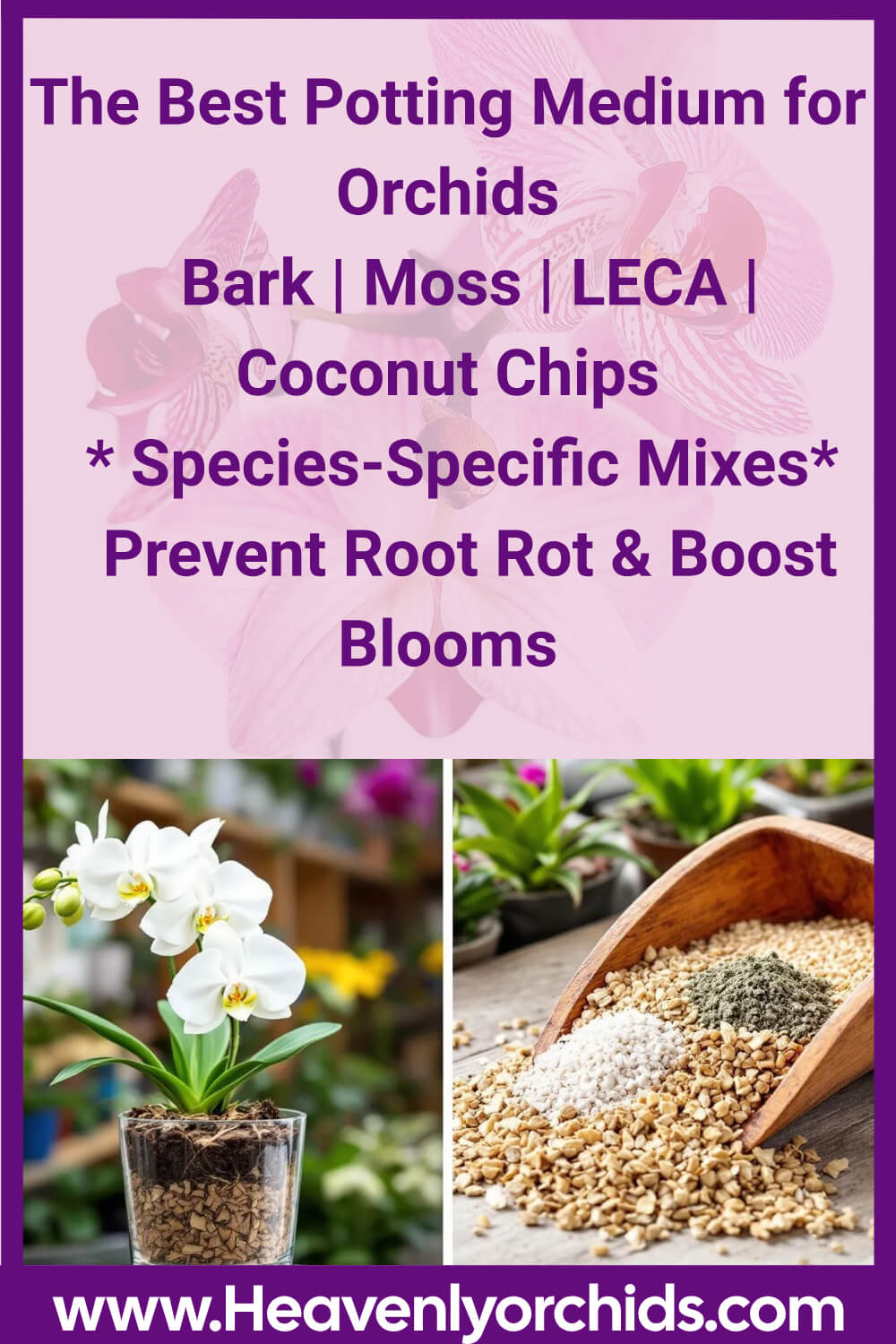 Best Potting Medium For Orchids