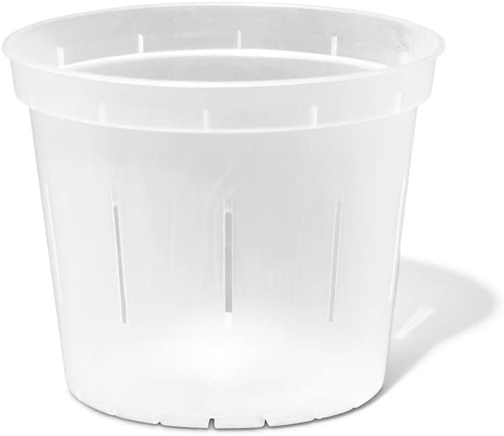 rePotme clear plastic pot  rePotme clear plastic pot