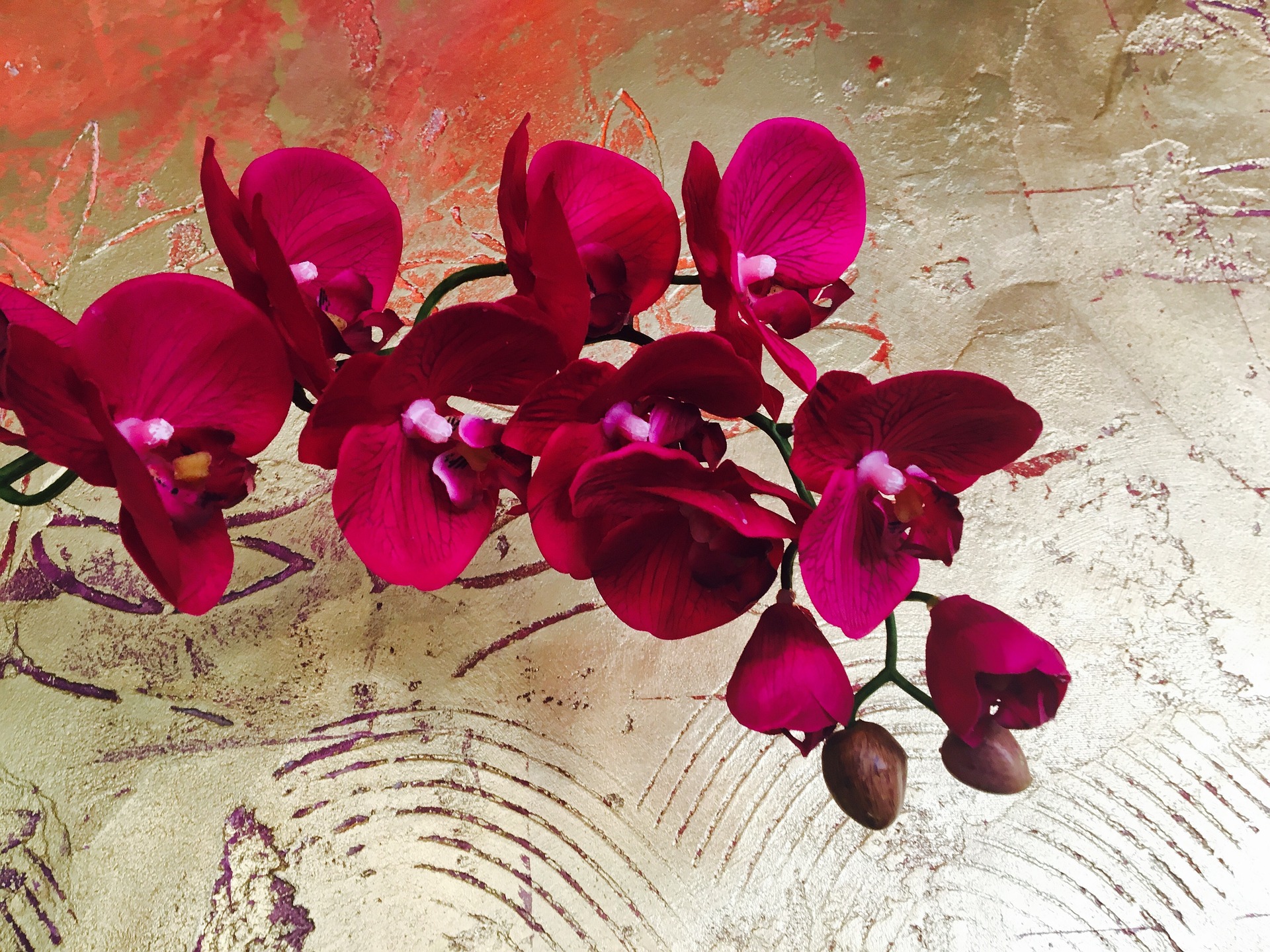 Redflowerorchid